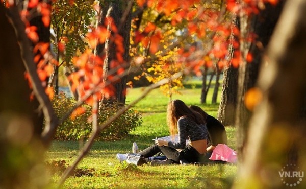 Будет ли бабье лето в Новосибирске - прогноз на сентябрь-2020