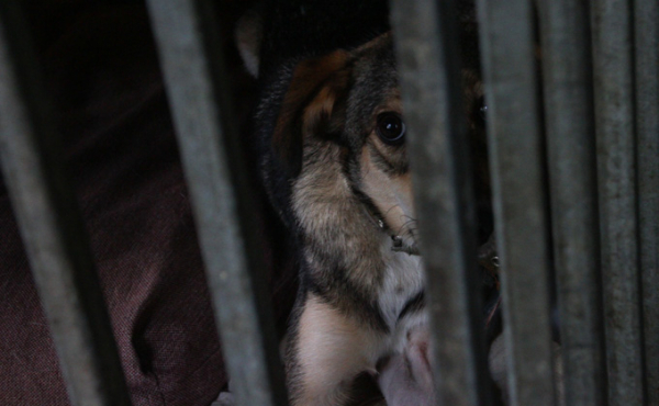 Регион в фокусе: лучшие фоторепортажи VN.ru