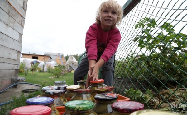 Огурцы на зиму: простые и вкусные рецепты Огурцы на зиму: простые и вкусные рецепты