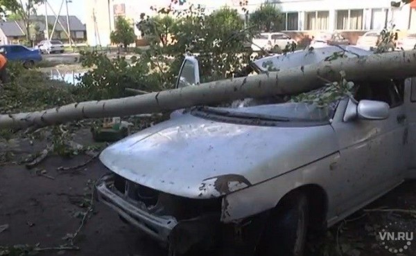 Режим ЧС введен в Барабинске &ndash; последствия урагана