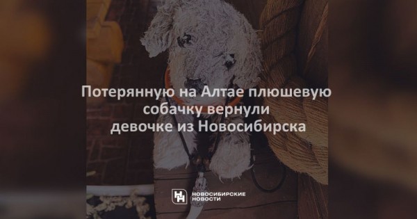Потерянную на&nbsp;Алтае плюшевую собачку вернули девочке из&nbsp;Новосибирска