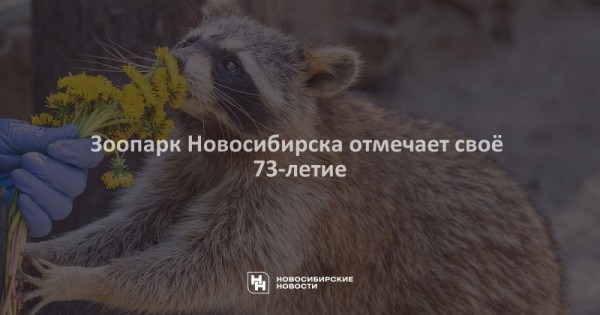 Зоопарк Новосибирска отмечает своё 73-летие