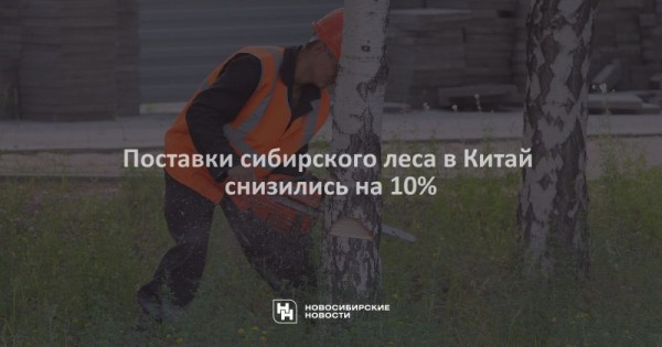 Поставки сибирского леса в&nbsp;Китай снизились на&nbsp;10%