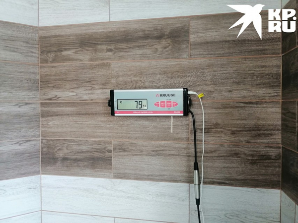 Я худею! В Новосибирске появился фитнес для толстых котов &mdash; восьмикилограммовый Ляля стал первым клиентом