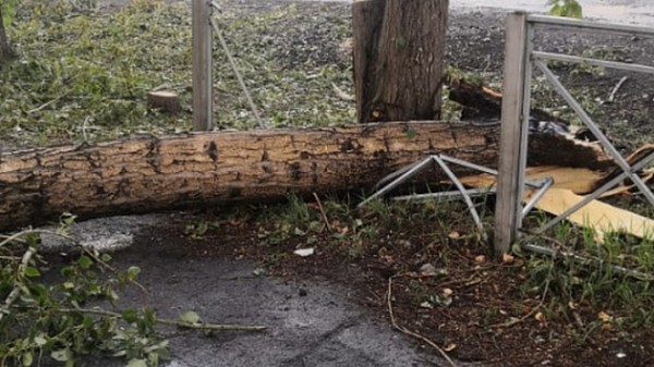 Режим ЧС ввели власти Барабинска из-за прошедшего урагана