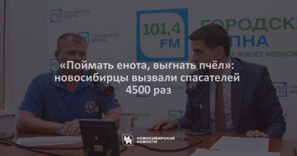 «Поймать енота, выгнать пчёл»: новосибирцы вызвали спасателей 4500 раз «Поймать енота, выгнать пчёл»: новосибирцы вызвали спасателей 4500 раз