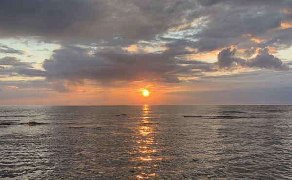 Операция «Моржовка» - как волонтеры очищают от мусора берег Ледовитого океана Операция «Моржовка» - как волонтеры очищают от мусора берег Ледовитого океана