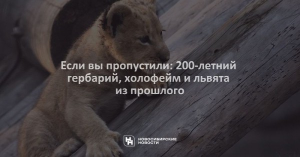 Если вы&nbsp;пропустили: 200-летний гербарий, холофейм и&nbsp;львята из&nbsp;прошлого