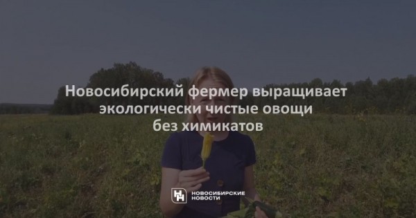 Новосибирский фермер выращивает экологически чистые овощи без химикатов Новосибирский фермер выращивает экологически чистые овощи без химикатов