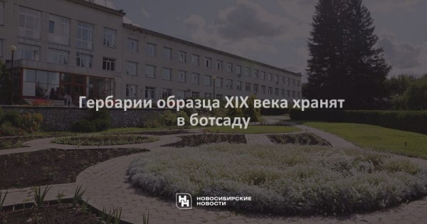 Гербарии образца XIX века хранят в&nbsp;ботсаду