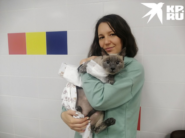 Я худею! В Новосибирске появился фитнес для толстых котов &mdash; восьмикилограммовый Ляля стал первым клиентом