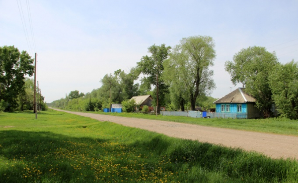 Краснозерский район: лучшие фото Данилы Черкалина Краснозерский район: лучшие фото Данилы Черкалина