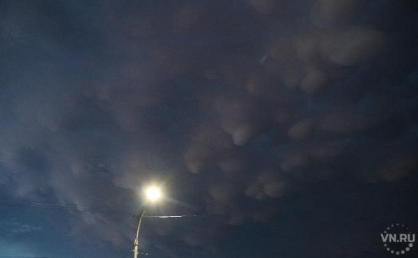 Порывистый ветер обрушится ночью на Новосибирск