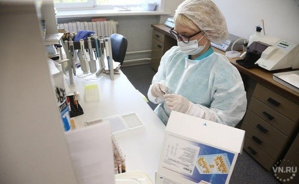 19 выздоровели, 55 заразились – коронавирус 14 сентября в Новосибирске