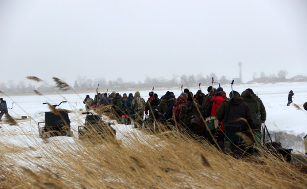 Краснозерский район: лучшие фото Данилы Черкалина Краснозерский район: лучшие фото Данилы Черкалина