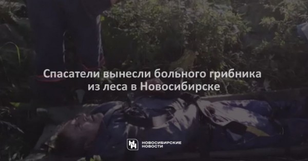 Спасатели вынесли больного грибника из леса в Новосибирске