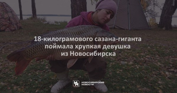 18-килограмового сазана-гиганта поймала хрупкая девушка из&nbsp;Новосибирска