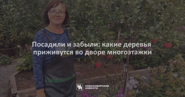 Посадили и забыли: какие деревья приживутся во дворе многоэтажки Посадили и забыли: какие деревья приживутся во дворе многоэтажки