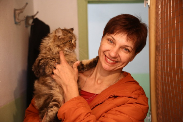 Сколько бродячих собак реально возвращают обратно на улицы: первые итоги эксперимента