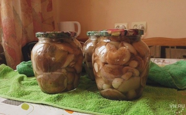 Маринованные маслята на зиму &ndash; вкусный видеорецепт