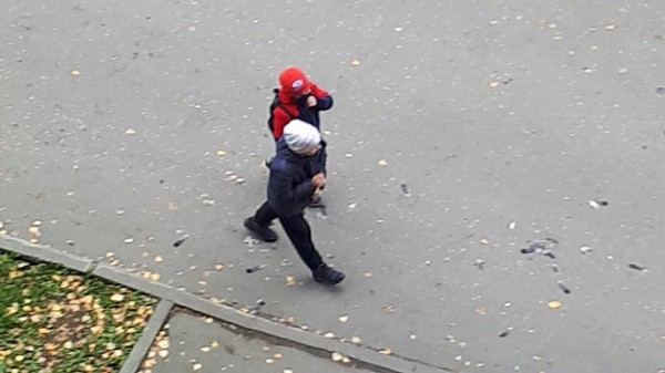 В Новосибирске дети играли мёртвым голубем в футбол