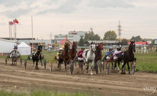 Рысак Коленкор завоевал Кубок губернатора на Большом Сибирском Круге 2020