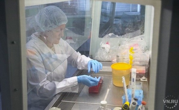 Тесты на коронавирус в Новосибирске: как сдать, где и сколько стоит Тесты на коронавирус в Новосибирске: как сдать, где и сколько стоит