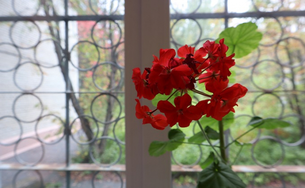 Психушка для преступников &ndash; кого содержат в самой закрытой лечебнице за Уралом