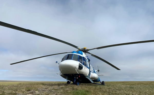 Краснозерский район: лучшие фото Данилы Черкалина Краснозерский район: лучшие фото Данилы Черкалина