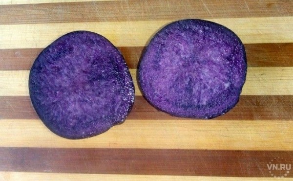 Фиолетовый картофель продает тракторист из Колывани