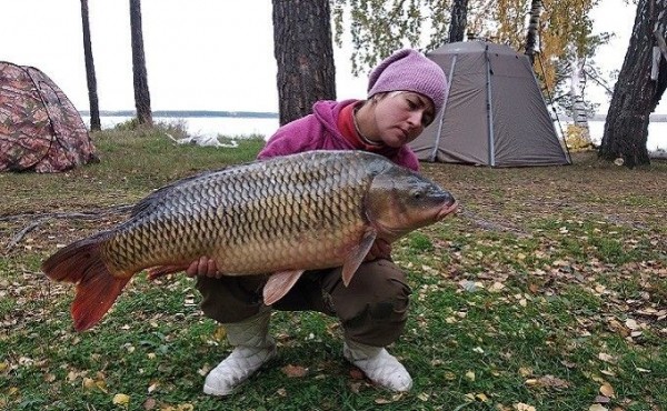 Гигантского престарелого сазана поймала продавщица в Спирино Гигантского престарелого сазана поймала продавщица в Спирино