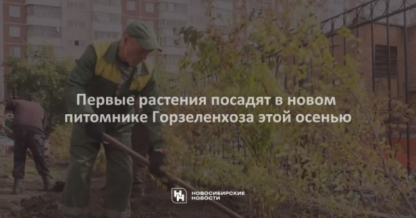 Первые растения посадят в новом питомнике Горзеленхоза этой осенью Первые растения посадят в новом питомнике Горзеленхоза этой осенью