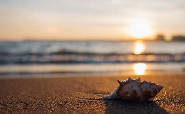 Производственный календарь-2021: сколько выходных ждет россиян Производственный календарь-2021: сколько выходных ждет россиян