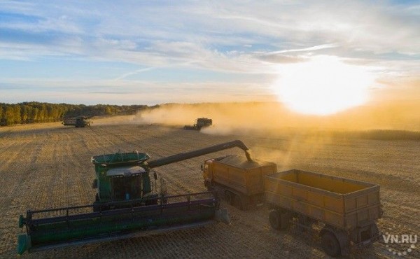 Краснозерский район: лучшие фото Данилы Черкалина Краснозерский район: лучшие фото Данилы Черкалина