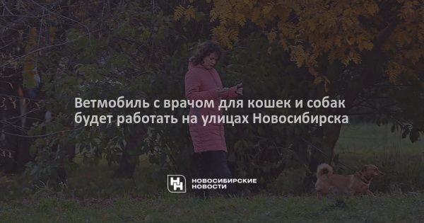 Ветмобиль с врачом для кошек и собак будет работать на улицах Новосибирска Ветмобиль с врачом для кошек и собак будет работать на улицах Новосибирска