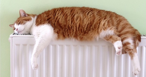 График подачи тепла в Кировском и Ленинском районах Новосибирска График подачи тепла в Кировском и Ленинском районах Новосибирска