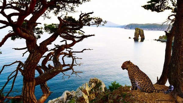 Всемирный день охраны мест обитания прошёл в новосибирском зоопарке Всемирный день охраны мест обитания прошёл в новосибирском зоопарке