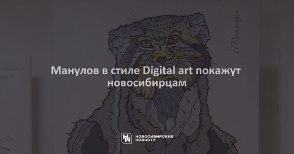 Манулов в стиле Digital art покажут новосибирцам Манулов в стиле Digital art покажут новосибирцам