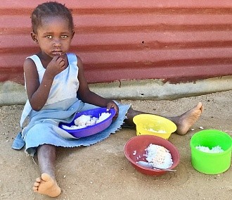 Угроза человечеству: о&nbsp;новом африканском вирусе рассказали на&nbsp;OpenBio