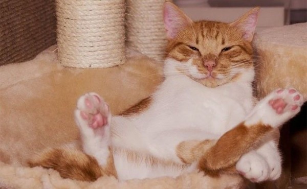 Выходной 4 ноября 2020 года &ndash; как отдыхаем в этот праздник