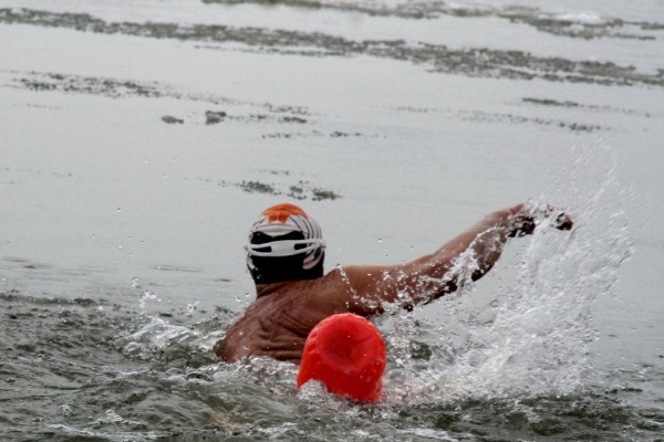Если вы пропустили: аквайсы, книжки от Мартышки и кино из зоопарка Если вы пропустили: аквайсы, книжки от Мартышки и кино из зоопарка