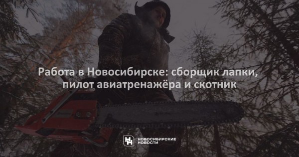 Работа в&nbsp;Новосибирске: сборщик лапки, пилот авиатренажёра и&nbsp;скотник