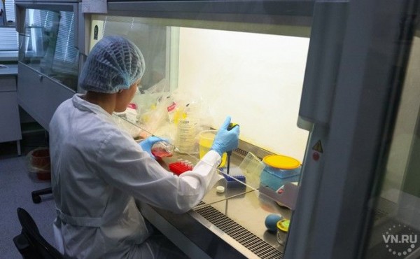 Кому делают бесплатные тесты на СOVID-19 в Новосибирске Кому делают бесплатные тесты на СOVID-19 в Новосибирске