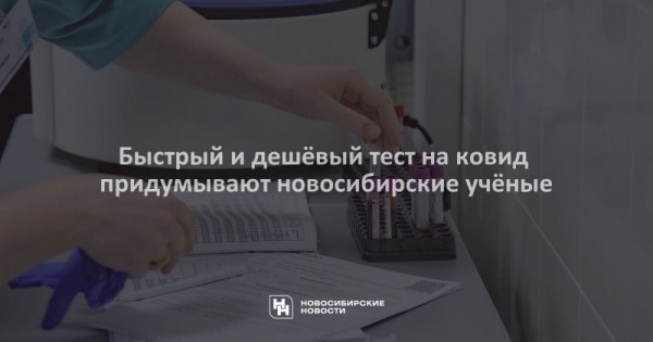 Быстрый и&nbsp;дешёвый тест на&nbsp;ковид придумывают новосибирские учёные