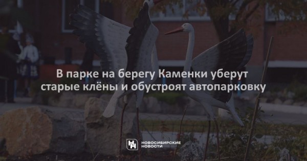 В&nbsp;парке на&nbsp;берегу Каменки уберут старые клёны и&nbsp;обустроят автопарковку