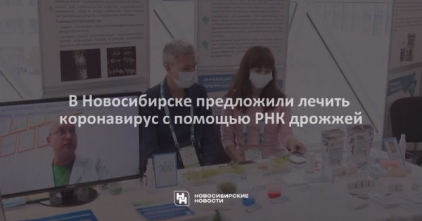 В&nbsp;Новосибирске предложили лечить коронавирус с&nbsp;помощью РНК дрожжей
