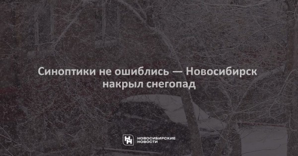 Синоптики не ошиблись &mdash; Новосибирск накрыл снегопад