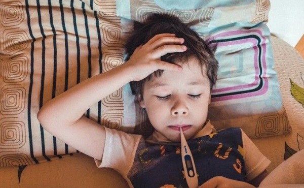 Точное число заболевших ковидом и ОРВИ школьников назвал мэр Новосибирска Точное число заболевших ковидом и ОРВИ школьников назвал мэр Новосибирска