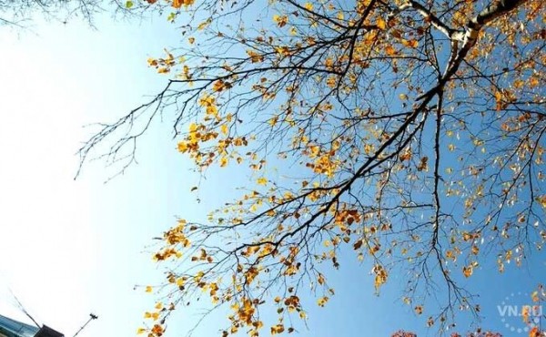 Новое потепление на выходных: погода 31 октября и 1 ноября в Новосибирске Новое потепление на выходных: погода 31 октября и 1 ноября в Новосибирске