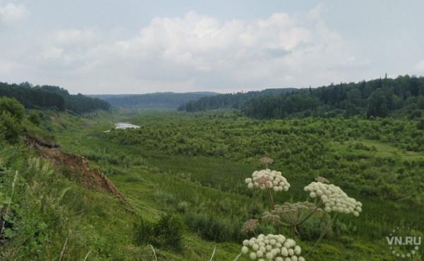 Человек ищет, где лучше